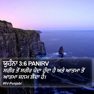 ਯੂਹੰਨਾ 3:6 PANIRV Bible Verse Image