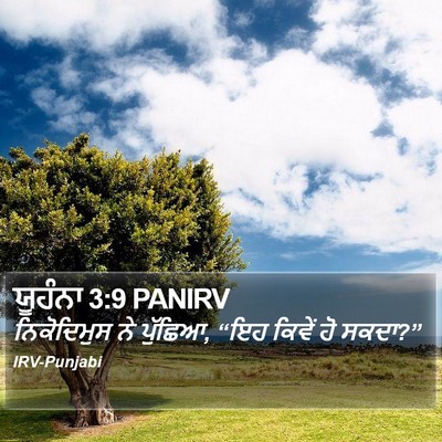 ਯੂਹੰਨਾ 3:9 PANIRV Bible Verse Image