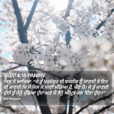 ਯੂਹੰਨਾ 4:10 PANIRV Bible Verse Image