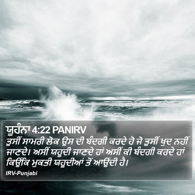 ਯੂਹੰਨਾ 4:22 PANIRV Bible Verse Image