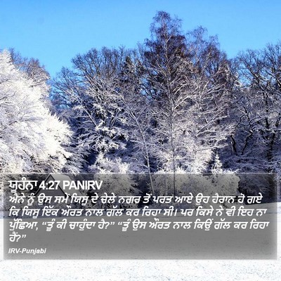 ਯੂਹੰਨਾ 4:27 PANIRV Bible Verse Image