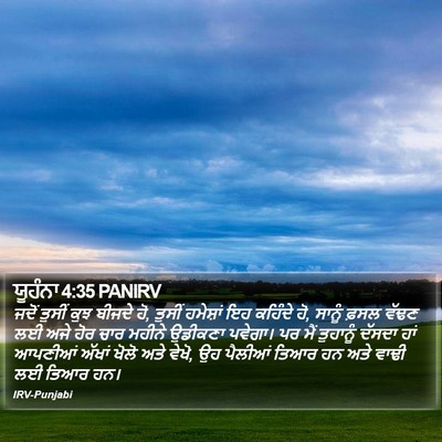 ਯੂਹੰਨਾ 4:35 PANIRV Bible Verse Image