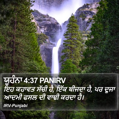ਯੂਹੰਨਾ 4:37 PANIRV Bible Verse Image
