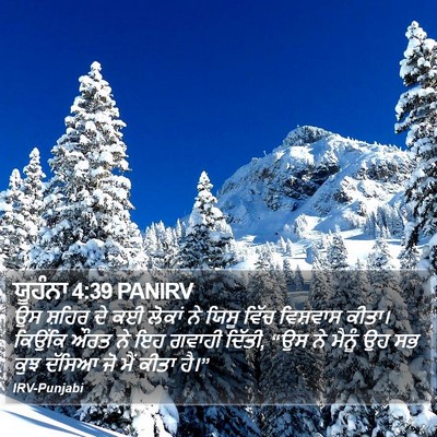 ਯੂਹੰਨਾ 4:39 PANIRV Bible Verse Image