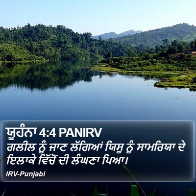 ਯੂਹੰਨਾ 4:4 PANIRV Bible Verse Image