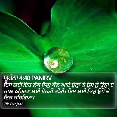ਯੂਹੰਨਾ 4:40 PANIRV Bible Verse Image