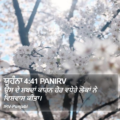 ਯੂਹੰਨਾ 4:41 PANIRV Bible Verse Image
