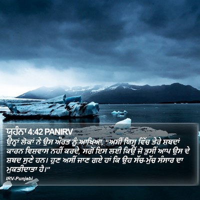 ਯੂਹੰਨਾ 4:42 PANIRV Bible Verse Image