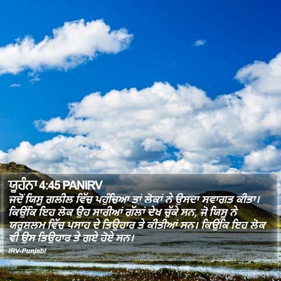 ਯੂਹੰਨਾ 4:45 PANIRV Bible Verse Image