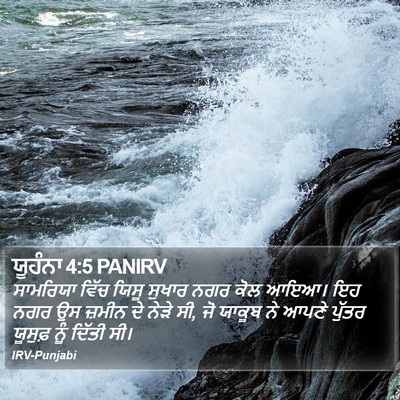 ਯੂਹੰਨਾ 4:5 PANIRV Bible Verse Image