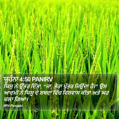ਯੂਹੰਨਾ 4:50 PANIRV Bible Verse Image