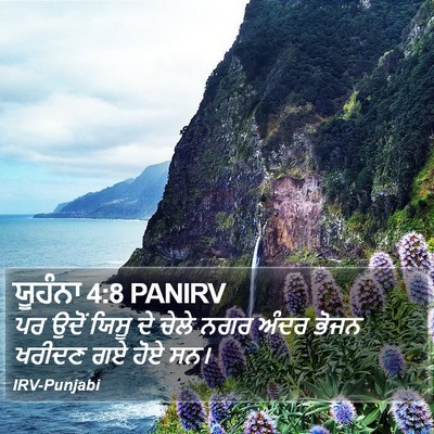 ਯੂਹੰਨਾ 4:8 PANIRV Bible Verse Image