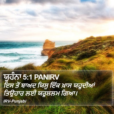 ਯੂਹੰਨਾ 5:1 PANIRV Bible Verse Image