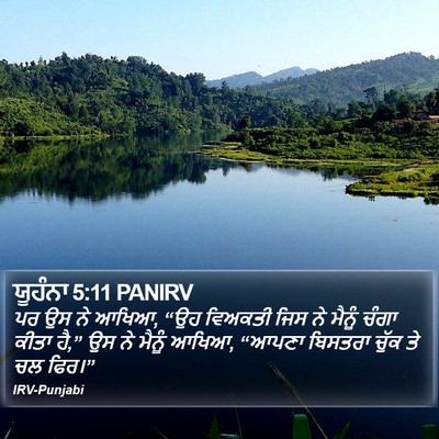 ਯੂਹੰਨਾ 5:11 PANIRV Bible Verse Image