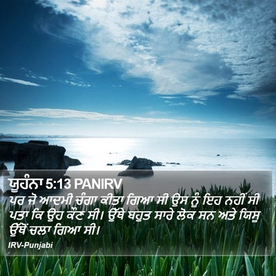 ਯੂਹੰਨਾ 5:13 PANIRV Bible Verse Image