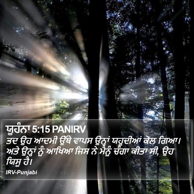 ਯੂਹੰਨਾ 5:15 PANIRV Bible Verse Image