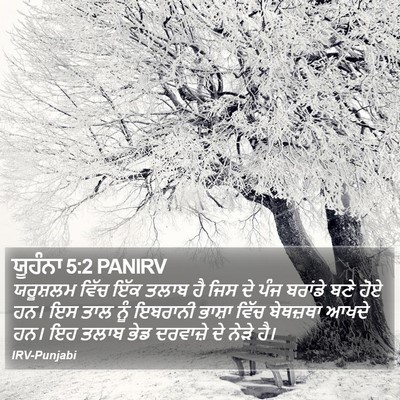 ਯੂਹੰਨਾ 5:2 PANIRV Bible Verse Image