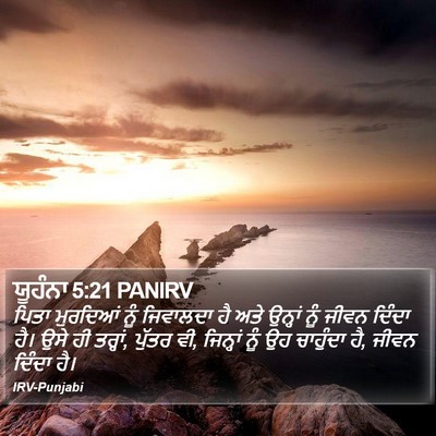 ਯੂਹੰਨਾ 5:21 PANIRV Bible Verse Image