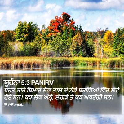 ਯੂਹੰਨਾ 5:3 PANIRV Bible Verse Image