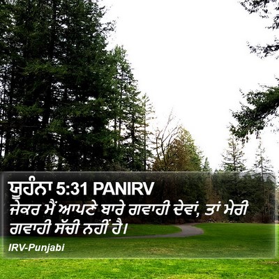 ਯੂਹੰਨਾ 5:31 PANIRV Bible Verse Image