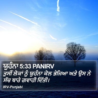ਯੂਹੰਨਾ 5:33 PANIRV Bible Verse Image