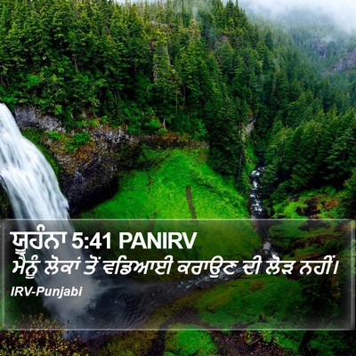ਯੂਹੰਨਾ 5:41 PANIRV Bible Verse Image