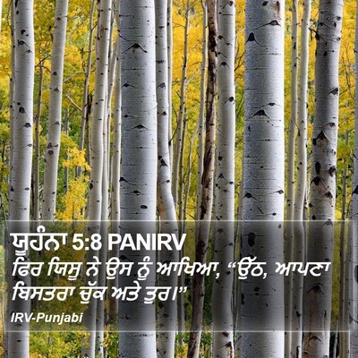ਯੂਹੰਨਾ 5:8 PANIRV Bible Verse Image