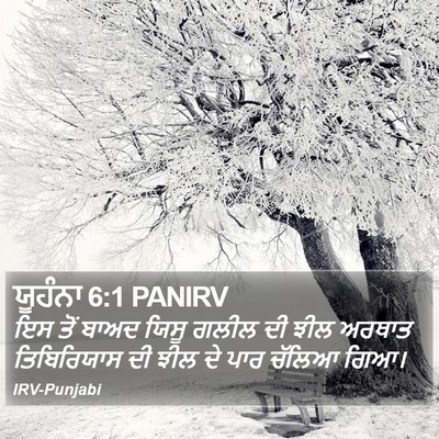 ਯੂਹੰਨਾ 6:1 PANIRV Bible Verse Image