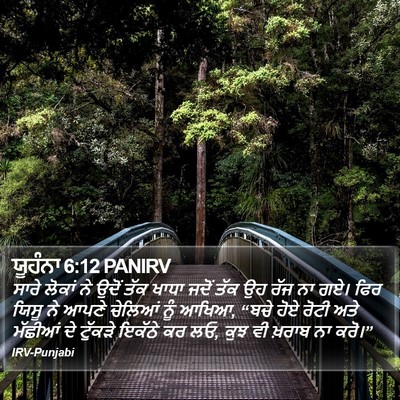 ਯੂਹੰਨਾ 6:12 PANIRV Bible Verse Image