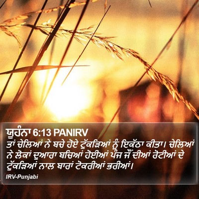 ਯੂਹੰਨਾ 6:13 PANIRV Bible Verse Image