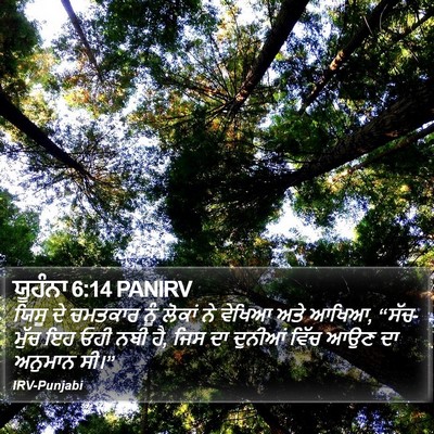 ਯੂਹੰਨਾ 6:14 PANIRV Bible Verse Image