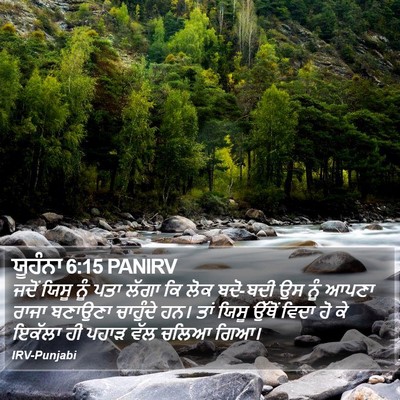 ਯੂਹੰਨਾ 6:15 PANIRV Bible Verse Image