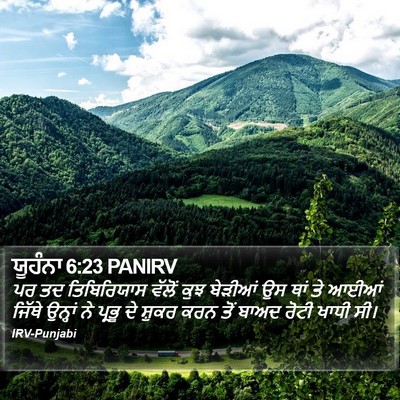 ਯੂਹੰਨਾ 6:23 PANIRV Bible Verse Image