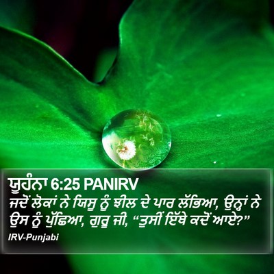 ਯੂਹੰਨਾ 6:25 PANIRV Bible Verse Image
