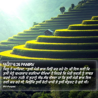 ਯੂਹੰਨਾ 6:26 PANIRV Bible Verse Image