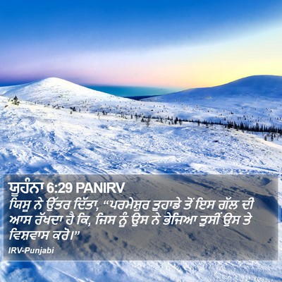 ਯੂਹੰਨਾ 6:29 PANIRV Bible Verse Image