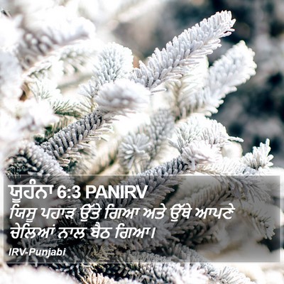 ਯੂਹੰਨਾ 6:3 PANIRV Bible Verse Image