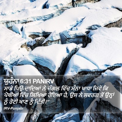 ਯੂਹੰਨਾ 6:31 PANIRV Bible Verse Image