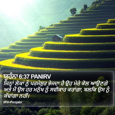 ਯੂਹੰਨਾ 6:37 PANIRV Bible Verse Image