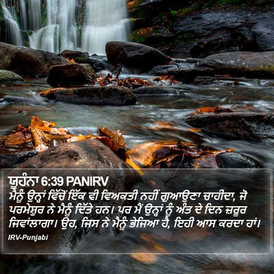 ਯੂਹੰਨਾ 6:39 PANIRV Bible Verse Image