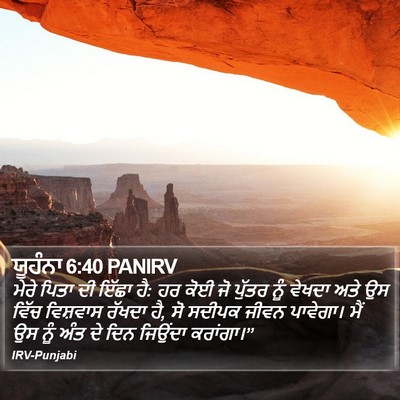 ਯੂਹੰਨਾ 6:40 PANIRV Bible Verse Image