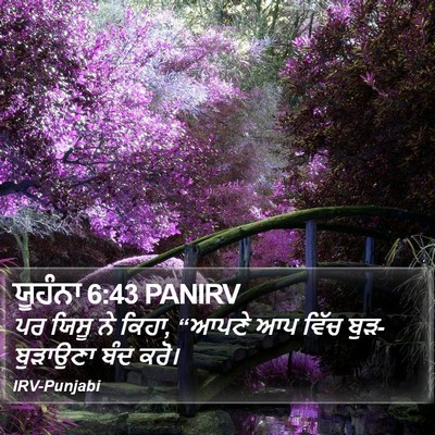 ਯੂਹੰਨਾ 6:43 PANIRV Bible Verse Image