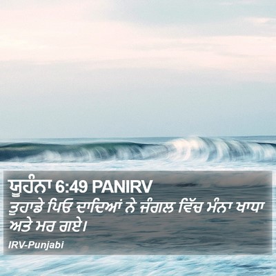 ਯੂਹੰਨਾ 6:49 PANIRV Bible Verse Image
