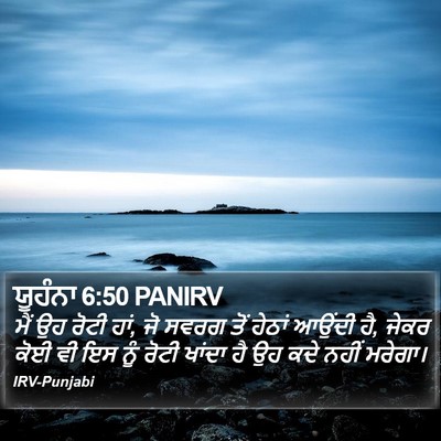 ਯੂਹੰਨਾ 6:50 PANIRV Bible Verse Image