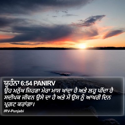ਯੂਹੰਨਾ 6:54 PANIRV Bible Verse Image