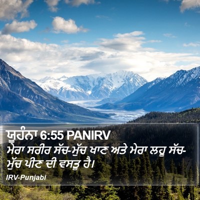 ਯੂਹੰਨਾ 6:55 PANIRV Bible Verse Image