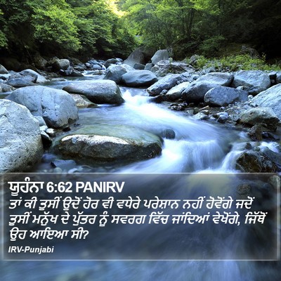 ਯੂਹੰਨਾ 6:62 PANIRV Bible Verse Image