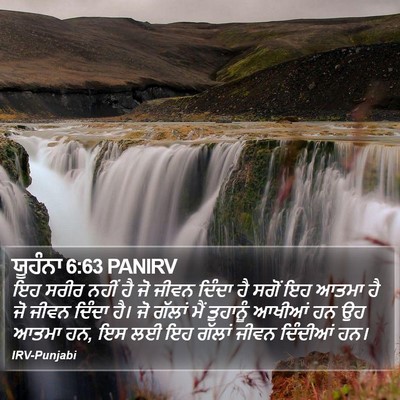 ਯੂਹੰਨਾ 6:63 PANIRV Bible Verse Image