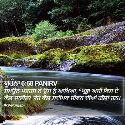 ਯੂਹੰਨਾ 6:68 PANIRV Bible Verse Image