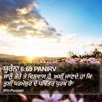 ਯੂਹੰਨਾ 6:69 PANIRV Bible Verse Image